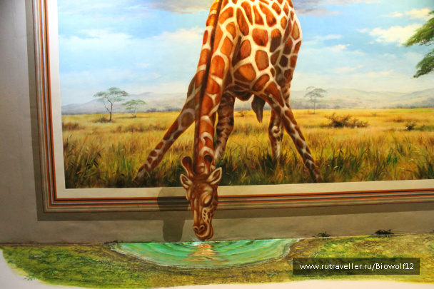 photo 298263