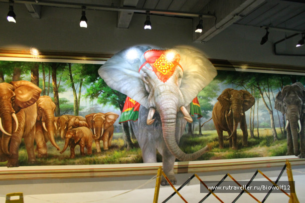 photo 298269