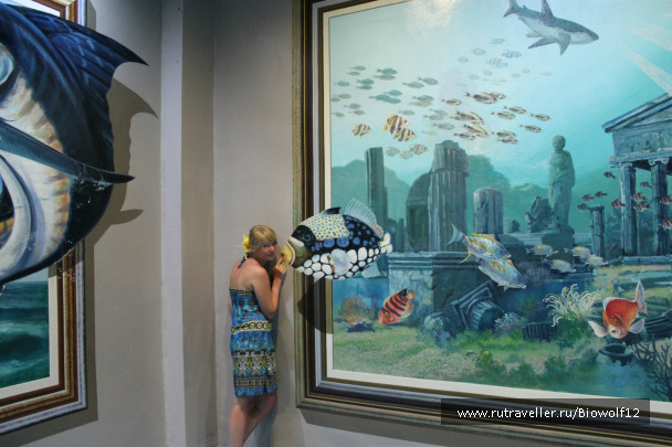 photo 298275