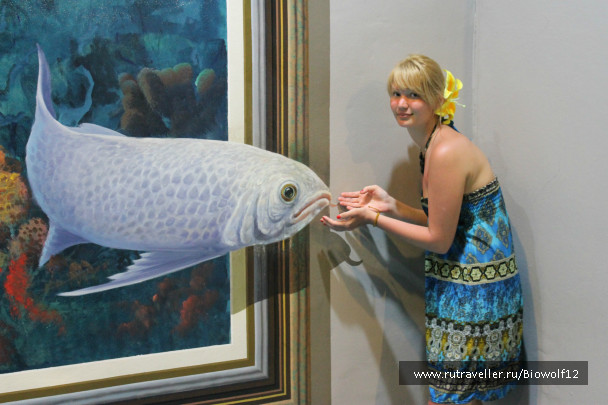 photo 298276