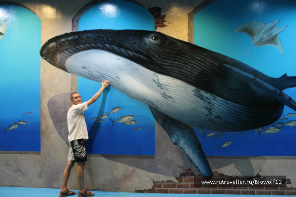 photo 298280