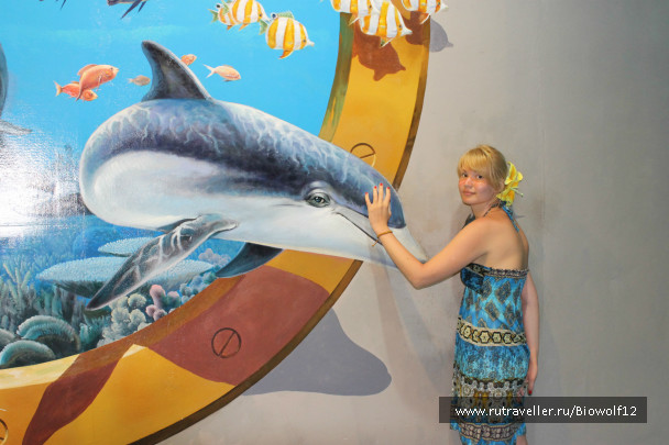 photo 298283