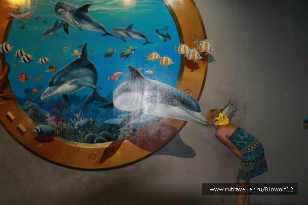 photo 298284