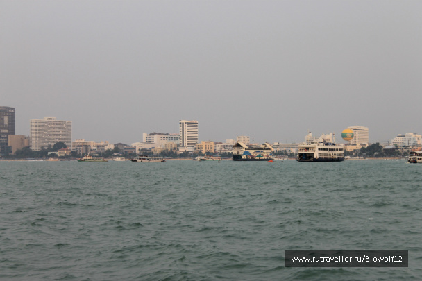 photo 298303