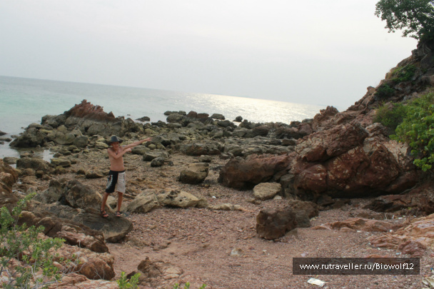 photo 298308