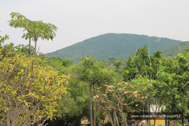photo 298334