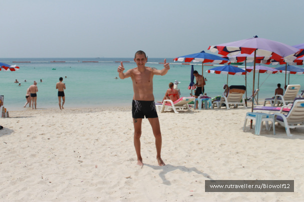 photo 298342