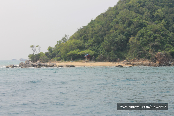 photo 298355