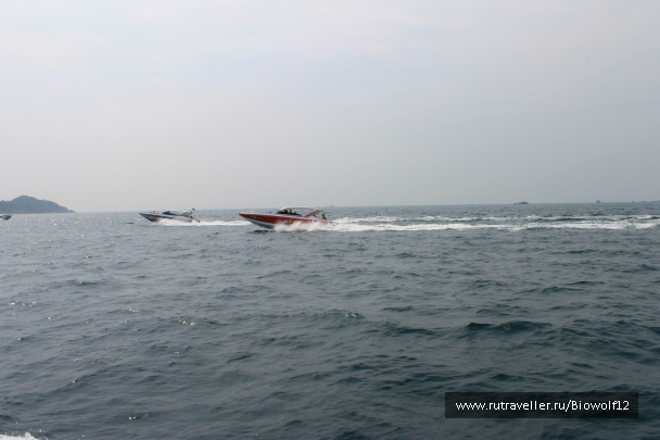 photo 298359