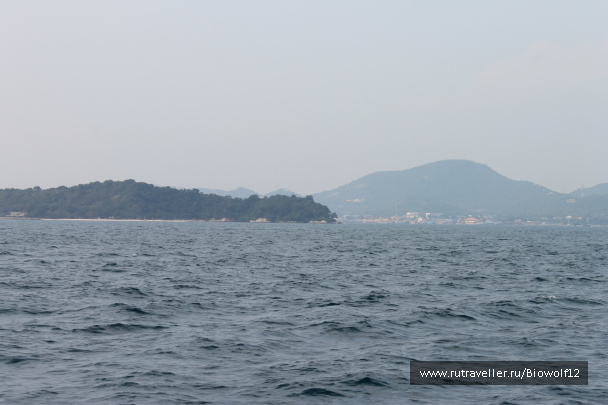 photo 298360