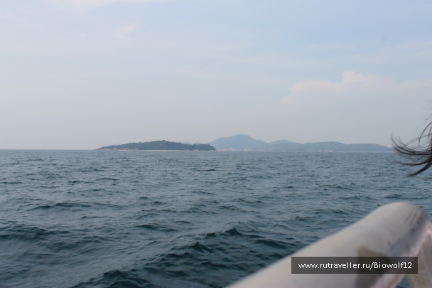 photo 298361