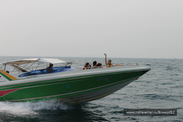 photo 298362