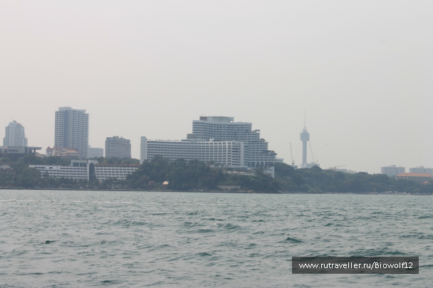 photo 298363