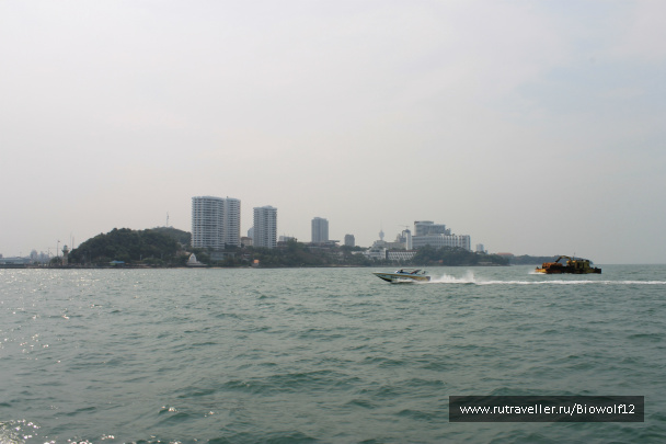 photo 298364