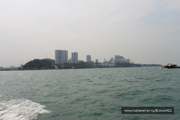 photo 298365