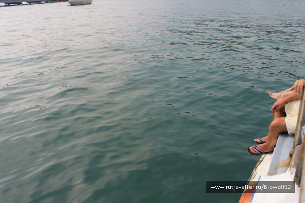 photo 298370