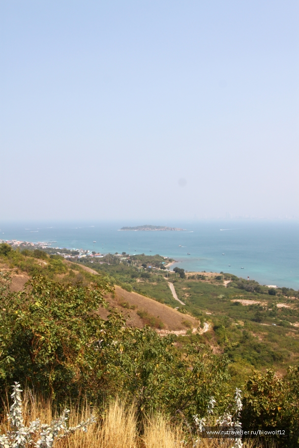 photo 667642