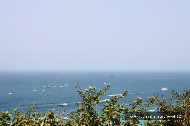photo 667651