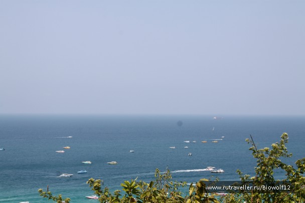photo 667652