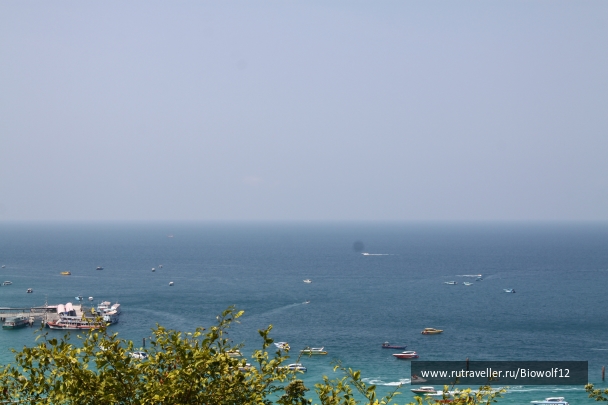 photo 667653