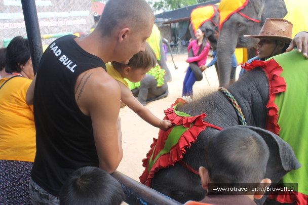 photo 576597