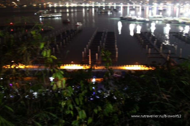 photo 667750