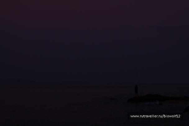 photo 667917
