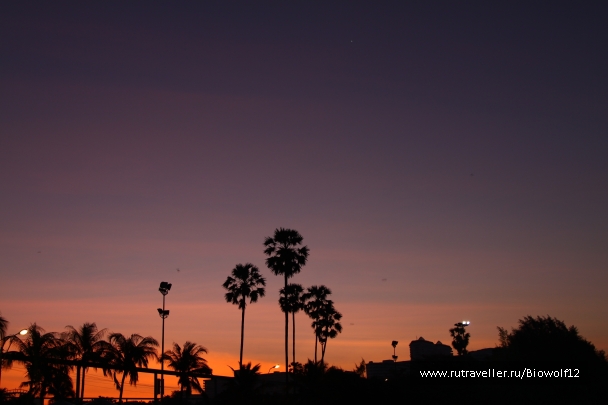 photo 667921