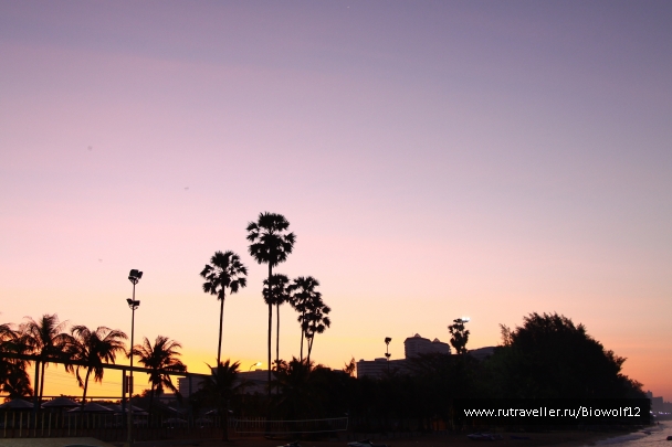 photo 667922