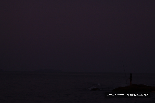 photo 667923