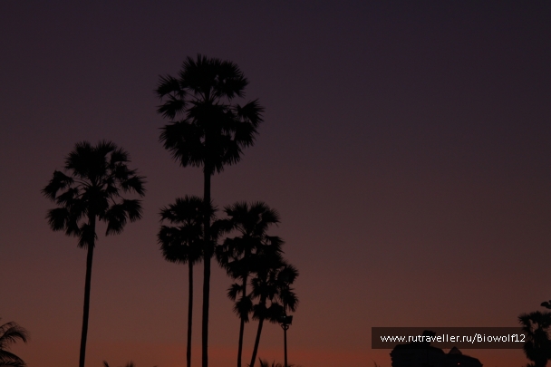 photo 667930