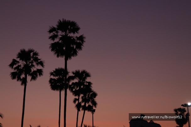 photo 667931