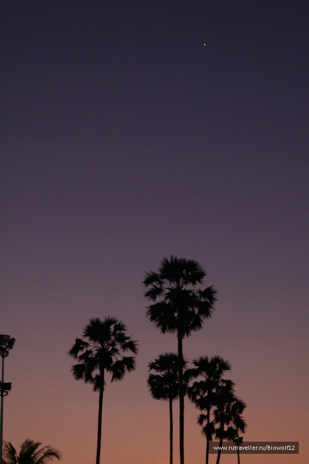 photo 667939