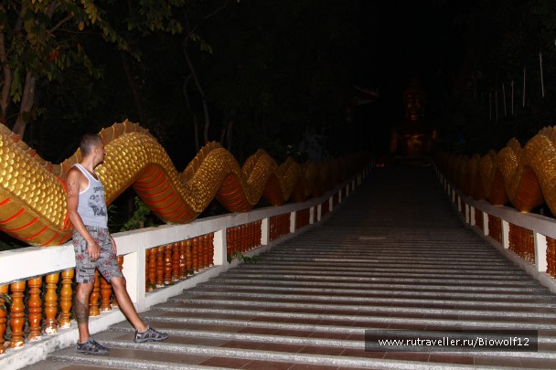 photo 668217