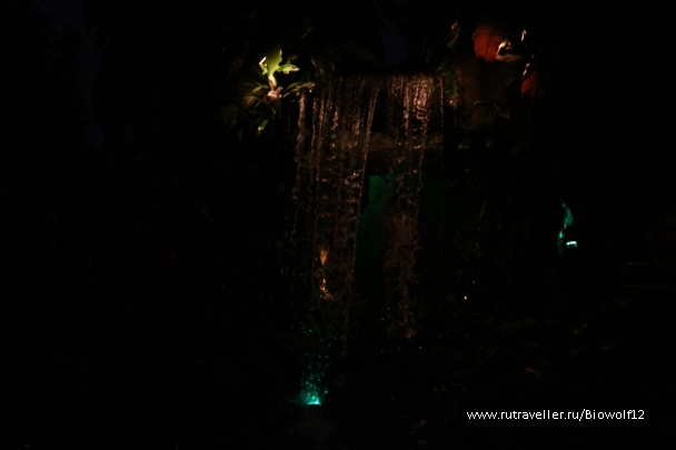 photo 667591