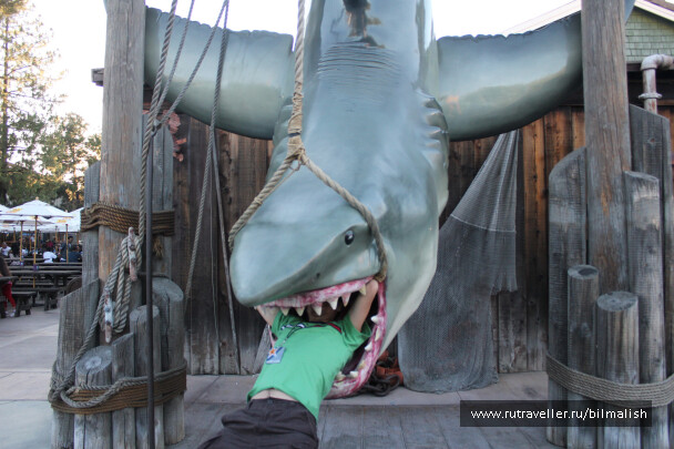 photo 40229