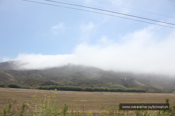 photo 40253
