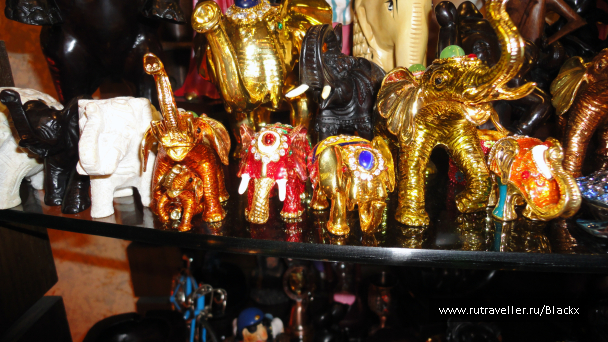 photo 698458