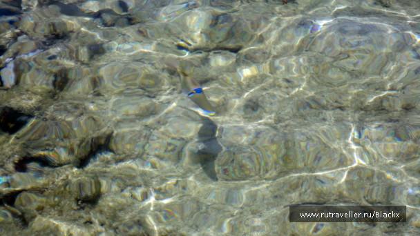 photo 698482