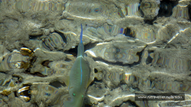 photo 698484