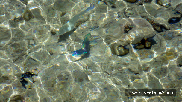 photo 698485