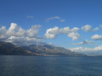 photo 1235363