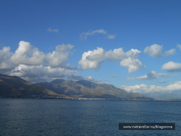 photo 1235363