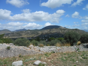 photo 775564