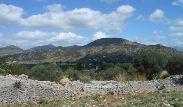 DSCN1167