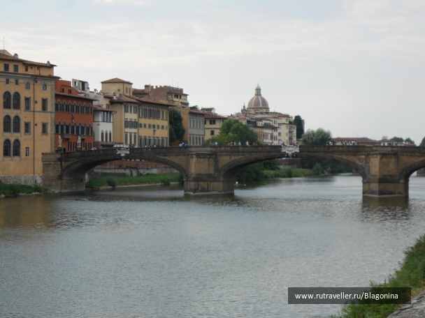photo 919685