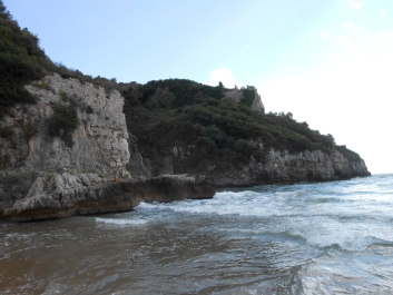 photo 972992