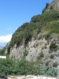 photo 973021