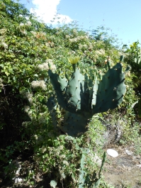 photo 973023