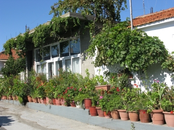 photo 801783